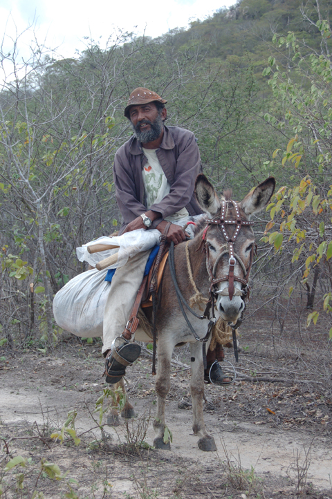 Senhor Expedito - Foto de Marcia Chame