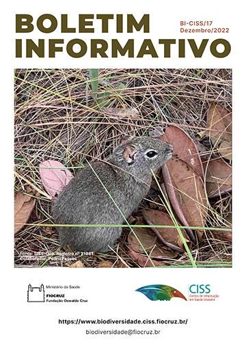 boletim-informativo-17