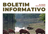 boletim informativo 18