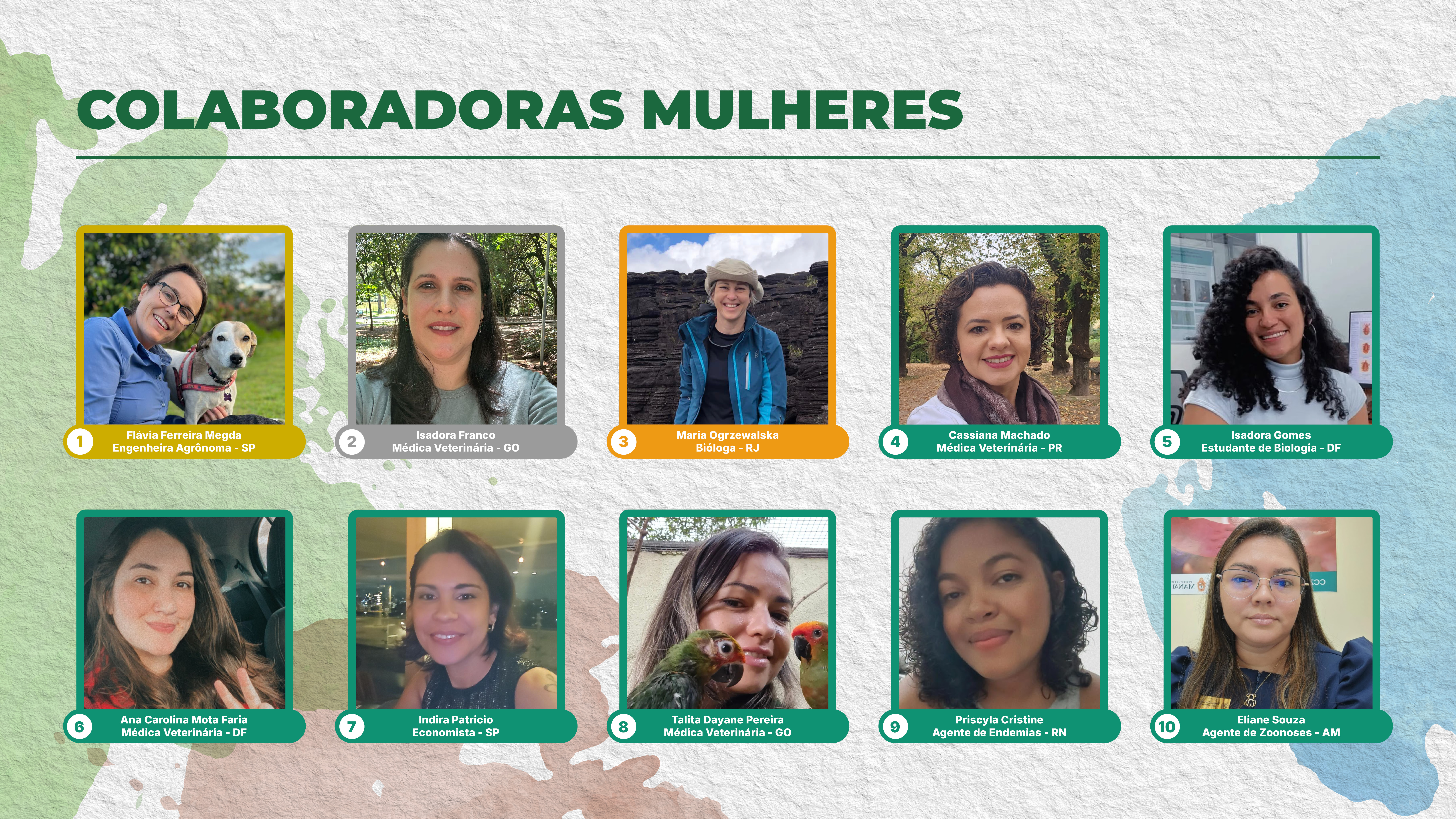 Vencedores 2024