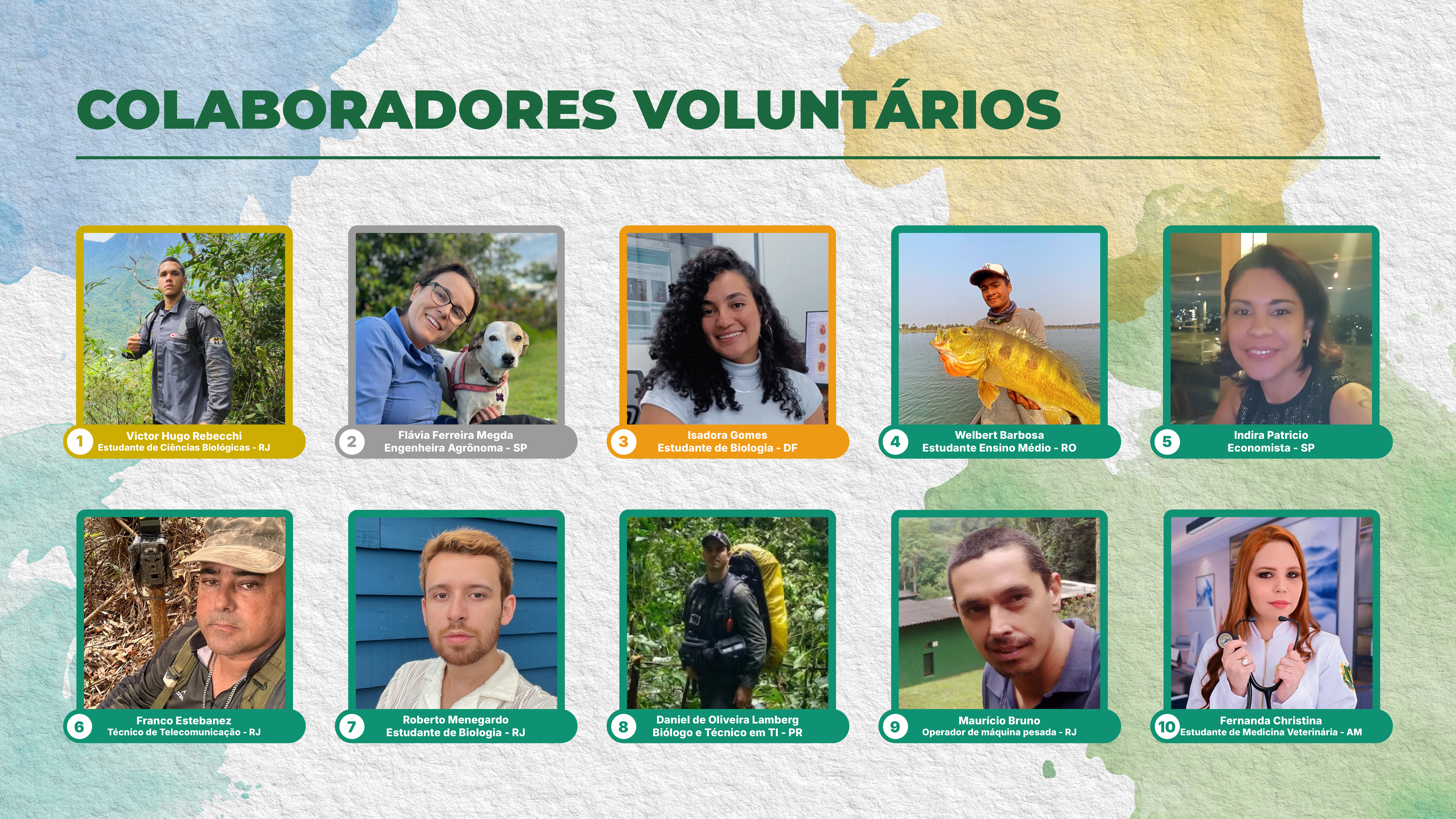 Vencedores 2024