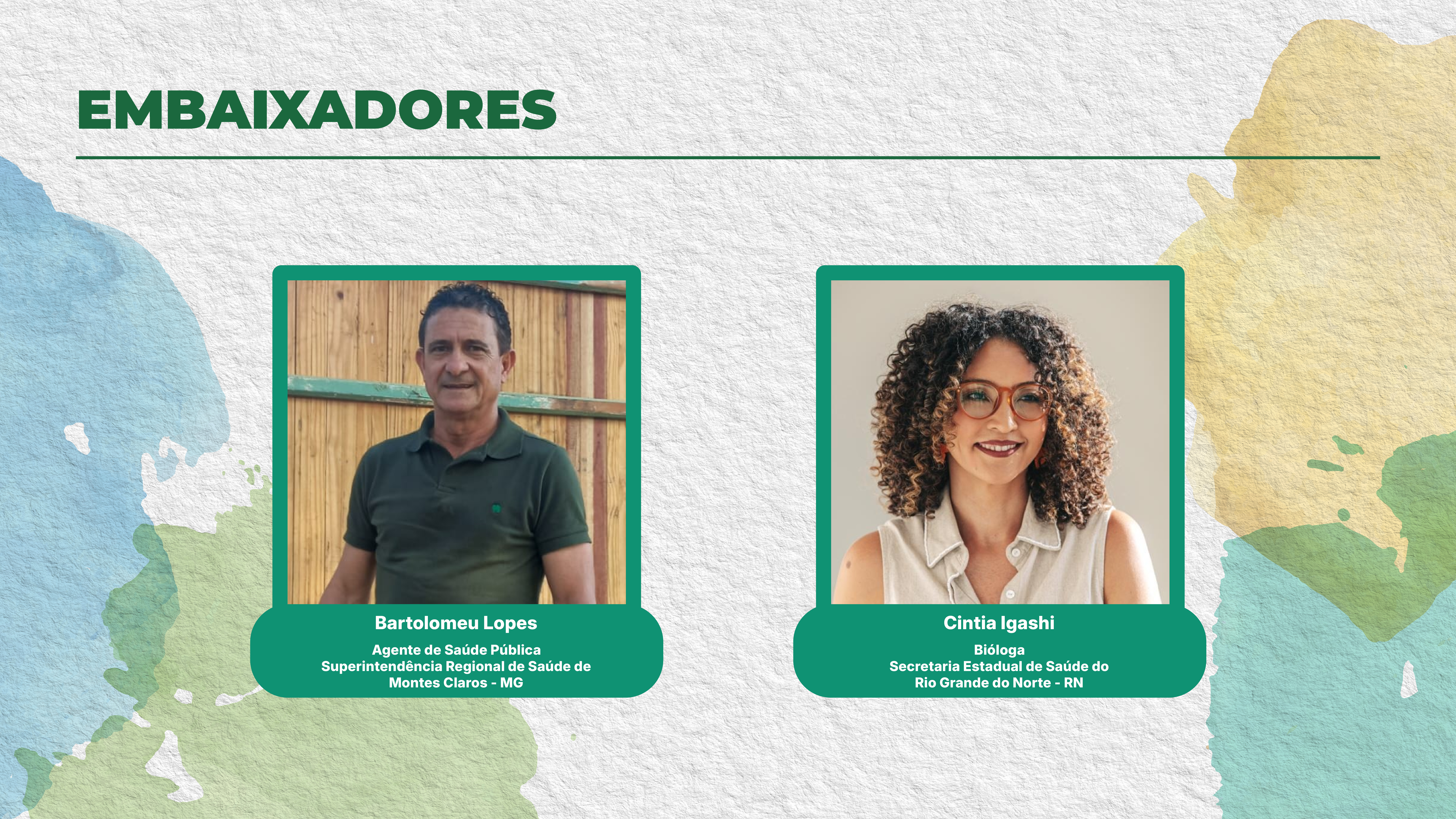 Vencedores 2024