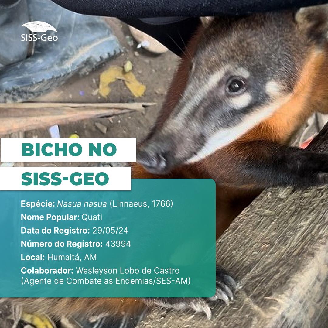 Bicho do Mês