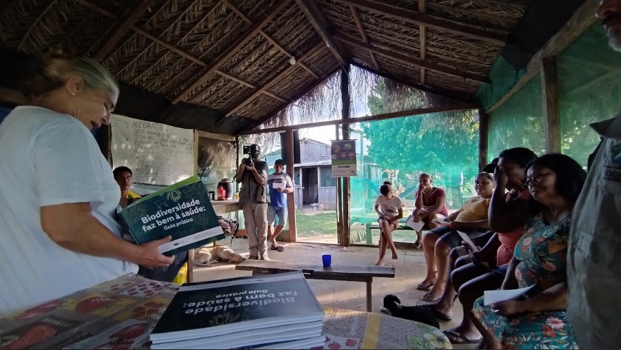 Projeto Pantanal