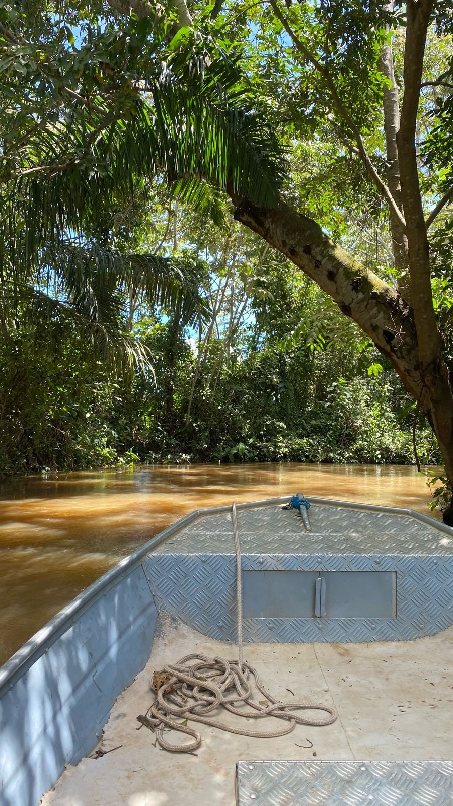 Expedição Pantanal: Fotos Jessica Andrade