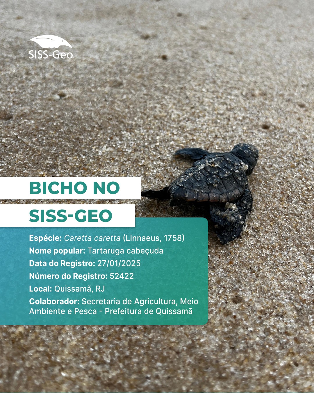 Bicho do Mês
