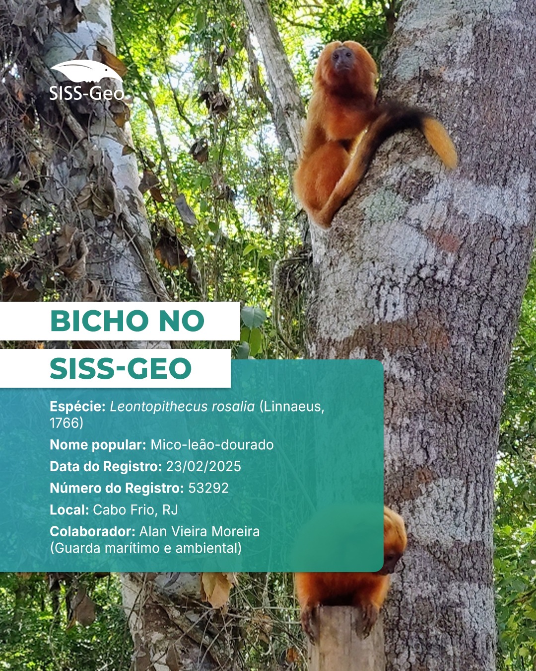 Bicho do Mês