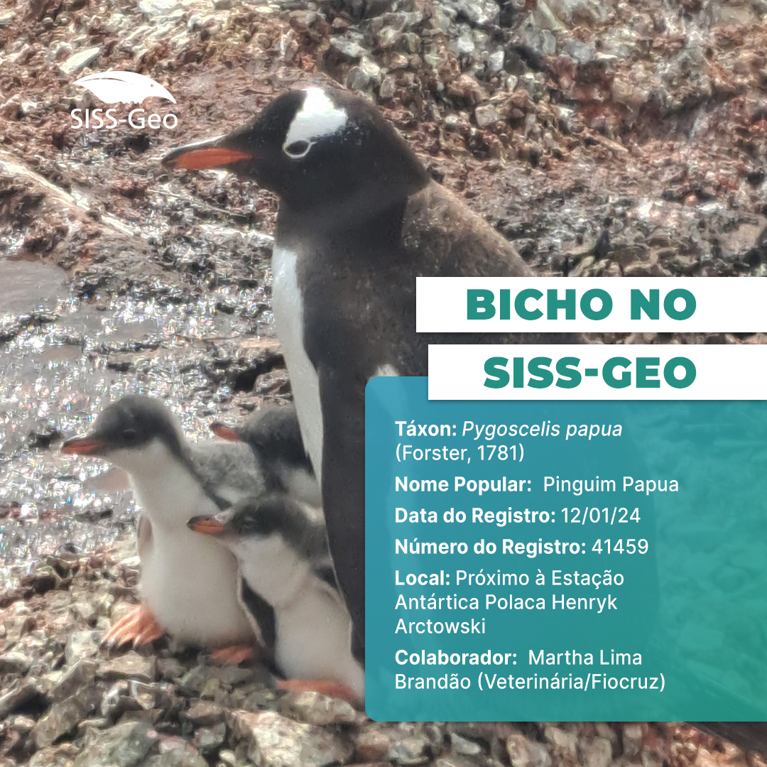 Bicho do Mês