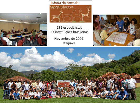 Workshop Estado da Arte em Saúde Silvestre - Itaipava 2009 