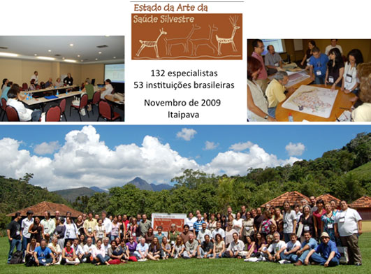 Workshop Estado da Arte em Saúde Silvestre - Itaipava 2009