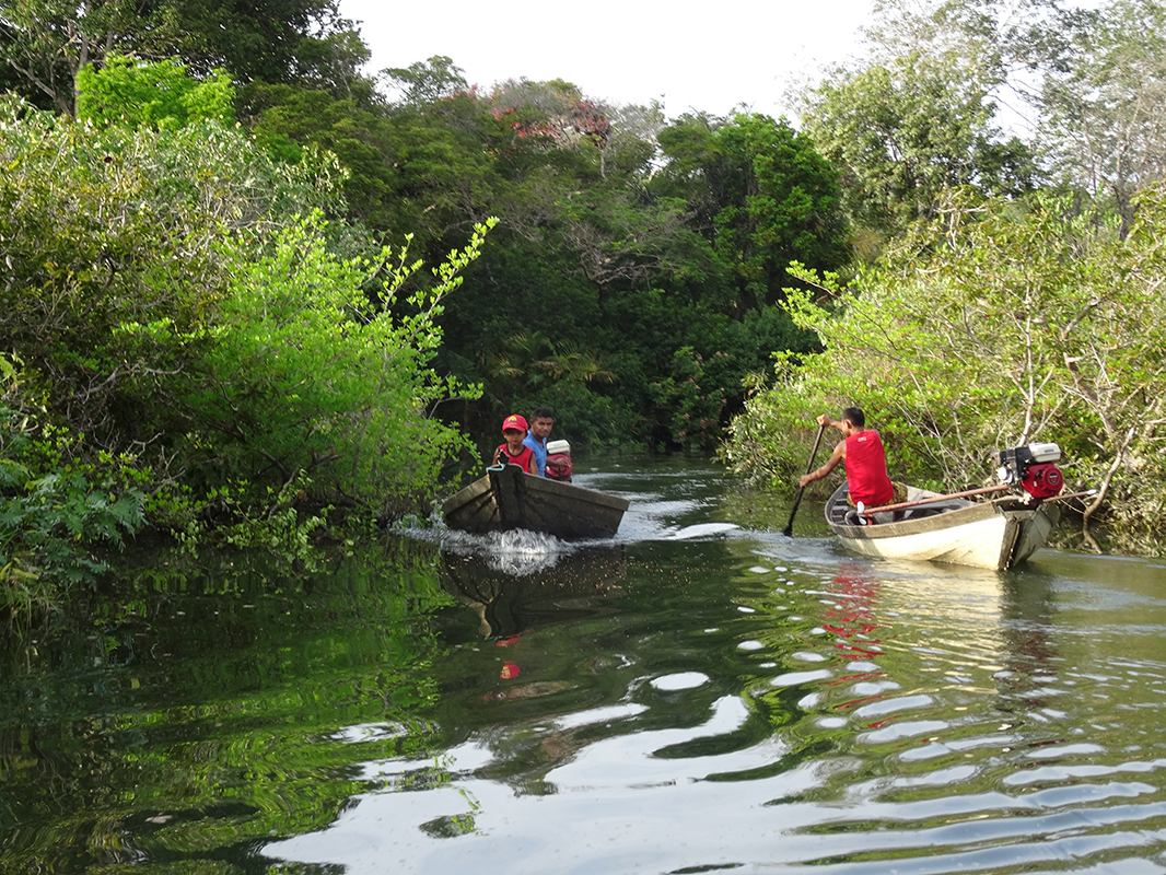 Deslocamento em Igarapé - Foto Marcia Chame