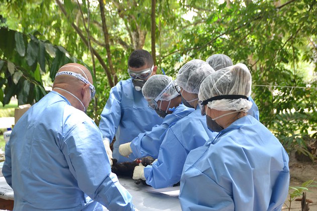 Equipe IEC