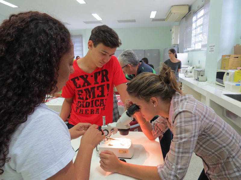 Oficina da Série Vetores - 7a Olimpíada Brasileira de Saúde e Meio Ambiente - Fiocruz