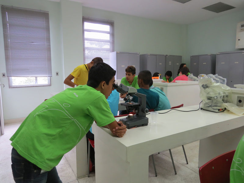 Oficina da Série Vetores - 7a Olimpíada Brasileira de Saúde e Meio Ambiente - Fiocruz