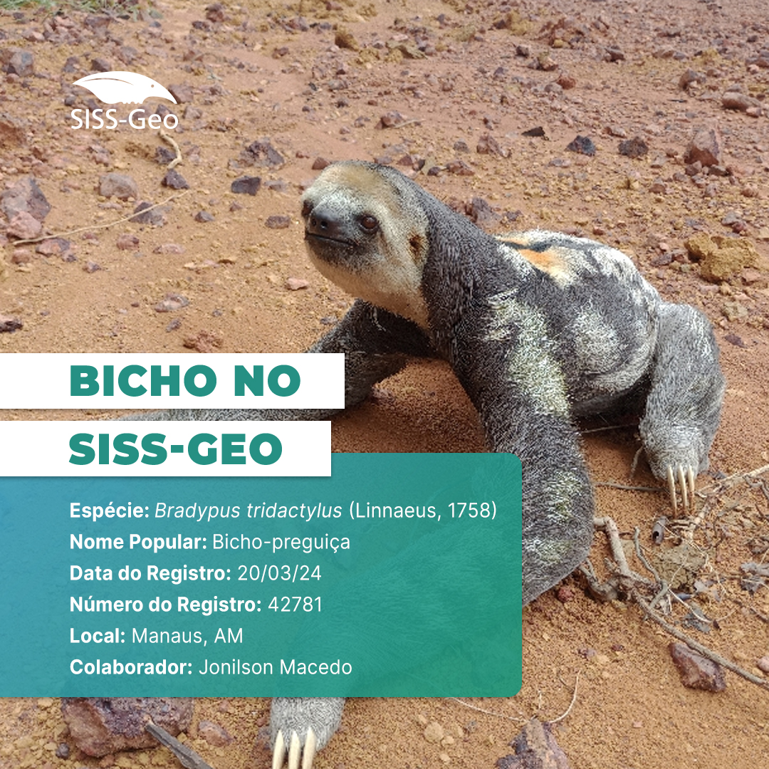 Bicho do Mês