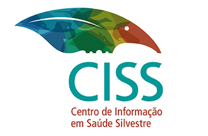 teste
