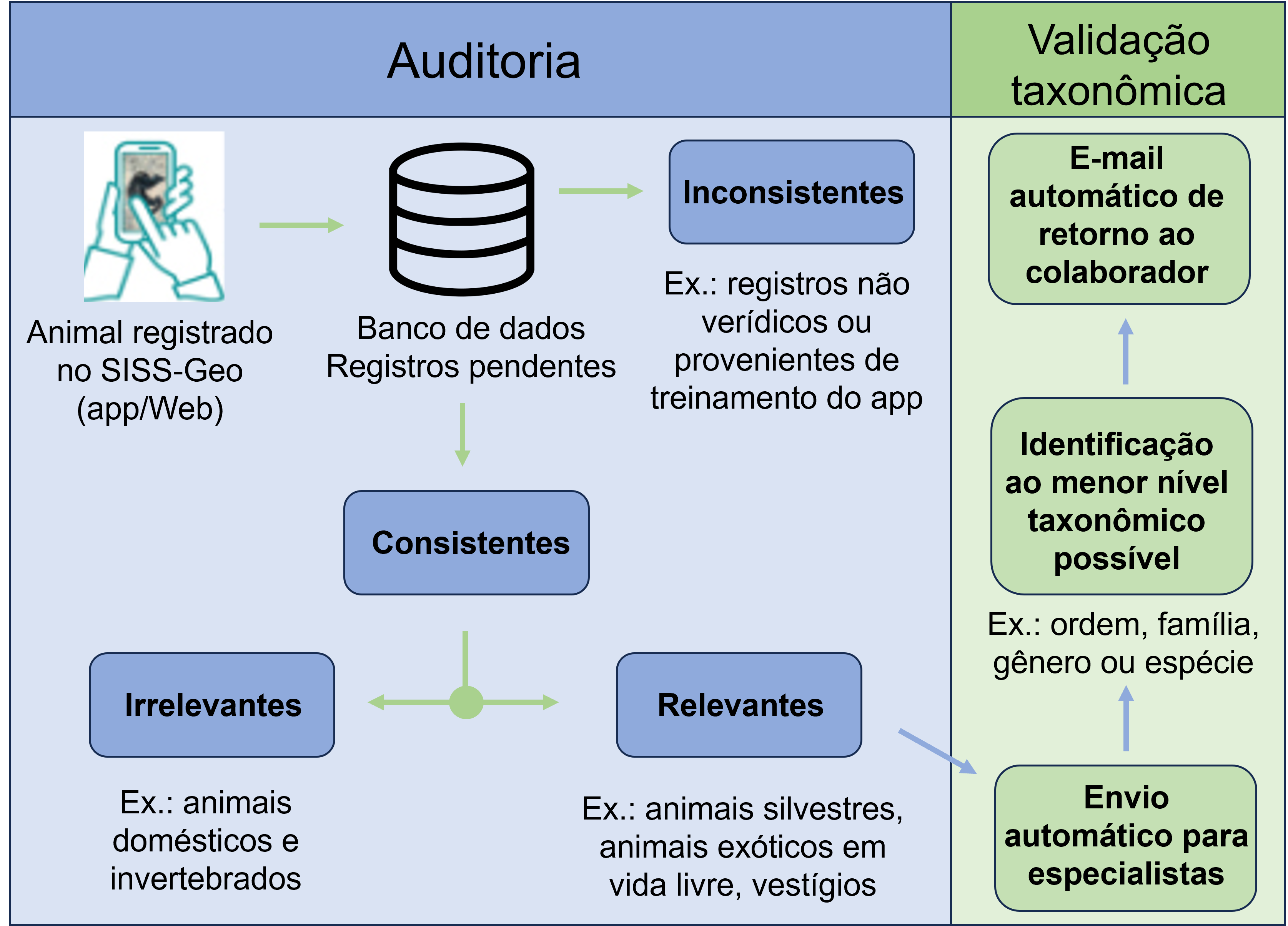 Fluxo Auditoria