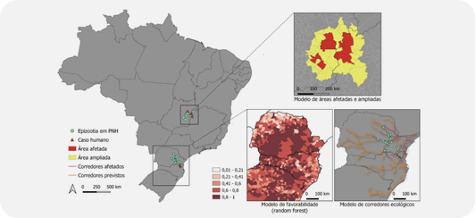 Modelagem Computacional